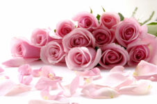 Bouquet_rose-1920x1275