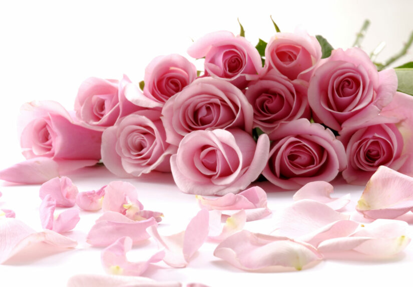 Bouquet_rose-1920x1275