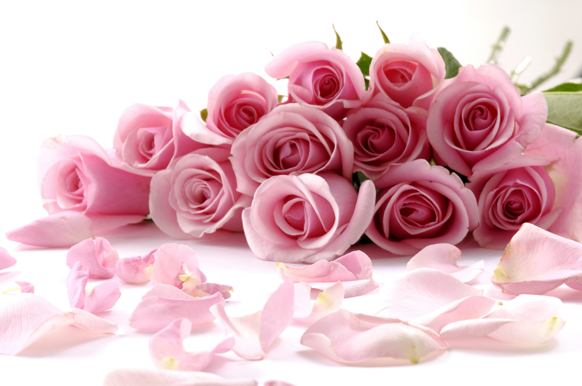 Bouquet_rose-1920x1275